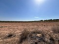 Large Parcel of Land with Olive Trees in Real Estate Alicante