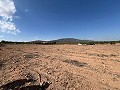 Large Parcel of Land with Olive Trees in Real Estate Alicante
