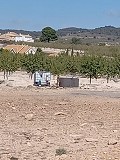 Building plot next to Ubeda in Real Estate Alicante