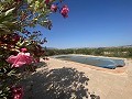 Villa tranquille de 3 chambres à Pinoso in Real Estate Alicante