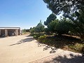 Villa tranquille de 3 chambres à Pinoso in Real Estate Alicante