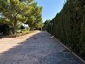 Villa tranquille de 3 chambres à Pinoso in Real Estate Alicante