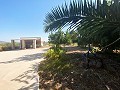 Villa tranquille de 3 chambres à Pinoso in Real Estate Alicante