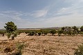 Atemberaubende freistehende Villa in Yecla mit Pool und Garage in Real Estate Alicante