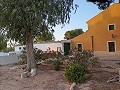 3 Bedroom Renovated house Yecla in Real Estate Alicante