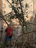 Townhouse renovation with Garden in Real Estate Alicante