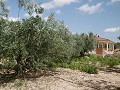 Estupendo chalet a 4 km de Yecla in Real Estate Alicante