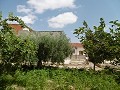 Estupendo chalet a 4 km de Yecla in Real Estate Alicante