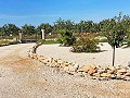 3 Bedroom 2 Bathroom Villa Pinoso in Real Estate Alicante