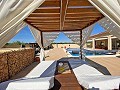 3 Bedroom 2 Bathroom Villa Pinoso in Real Estate Alicante
