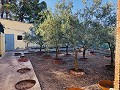 Country Home with Renovation Potential and Endless Opportunities in Yecla in Real Estate Alicante