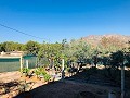 Country Home with Renovation Potential and Endless Opportunities in Yecla in Real Estate Alicante