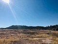 Country Home with Renovation Potential and Endless Opportunities in Yecla in Real Estate Alicante
