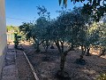 Country Home with Renovation Potential and Endless Opportunities in Yecla in Real Estate Alicante
