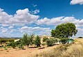 Wunderschön erhaltenes Landhaus in atemberaubender Yecla-Lage in Real Estate Alicante