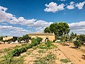 Wunderschön erhaltenes Landhaus in atemberaubender Yecla-Lage in Real Estate Alicante