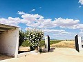 Wunderschön erhaltenes Landhaus in atemberaubender Yecla-Lage in Real Estate Alicante