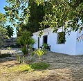 Schönes Landhaus mit großem Padelplatz in Real Estate Alicante