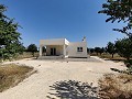 New build villas in Pinoso in Real Estate Alicante
