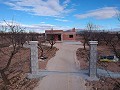 New build villas in Pinoso in Real Estate Alicante
