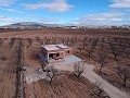New build villas in Pinoso in Real Estate Alicante