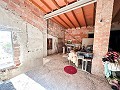 Riesiges Haus auf dem Land mit Grundstücken in Pinoso in Real Estate Alicante
