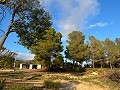Grande maison de campagne in Real Estate Alicante