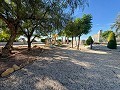 Superbe demeure avec piscine privée, terrain de sport et espace barbecue in Real Estate Alicante