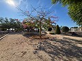 Superbe demeure avec piscine privée, terrain de sport et espace barbecue in Real Estate Alicante