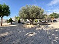 Superbe demeure avec piscine privée, terrain de sport et espace barbecue in Real Estate Alicante