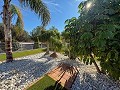 Superbe demeure avec piscine privée, terrain de sport et espace barbecue in Real Estate Alicante