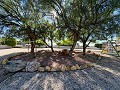 Superbe demeure avec piscine privée, terrain de sport et espace barbecue in Real Estate Alicante