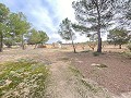 Enorme casa de campo para reformar in Real Estate Alicante