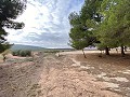 Enorme casa de campo para reformar in Real Estate Alicante